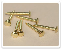 Brass Plated Oval Head RS Nail