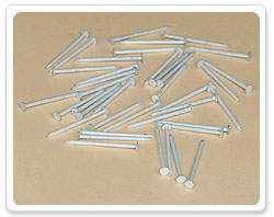 Stainless Steel Trim Nail (White Painting)