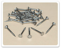 Bright Bugle Head Screw Nail