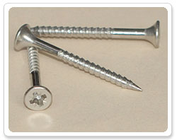 Stainless Steel POZI Drive Bugle Head Screw Nail