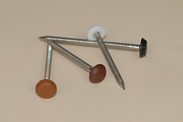 Stainless Steel Plastic Head Nail