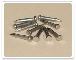 Stainless Steel Brad Nail
