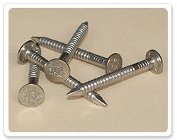 Stainless Steel Flat Head RS Nail
