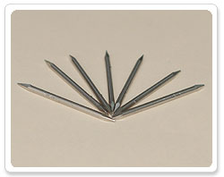 Stainless Steel Double Point Nail