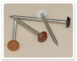 Stainless Steel Plastic Head Nail