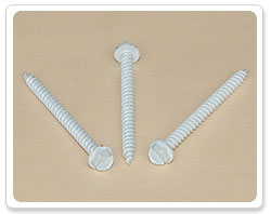 Slotted Hex Washer Head Screw-White Painted